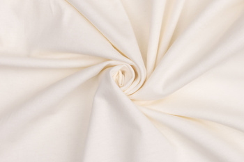 Męski T-Shirt Mustang Style Alex Egret 1017337 2000