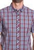 Collin poplin check