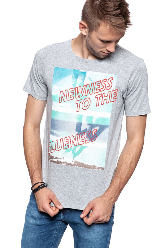 LEE T SHIRT PHOTO TEE GREY MELE L60QEP37