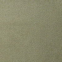DUSTY OLIVE