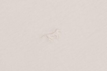 Męski T-Shirt Mustang Style Alex Egret 1017337 2000