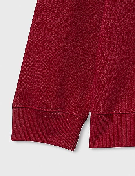 LEE LOGO CREW SWS MĘSKA BLUZA KLASYCZNA LOGO RHUBARB RED L80JFBGB 112121397