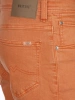 Raw Sienna